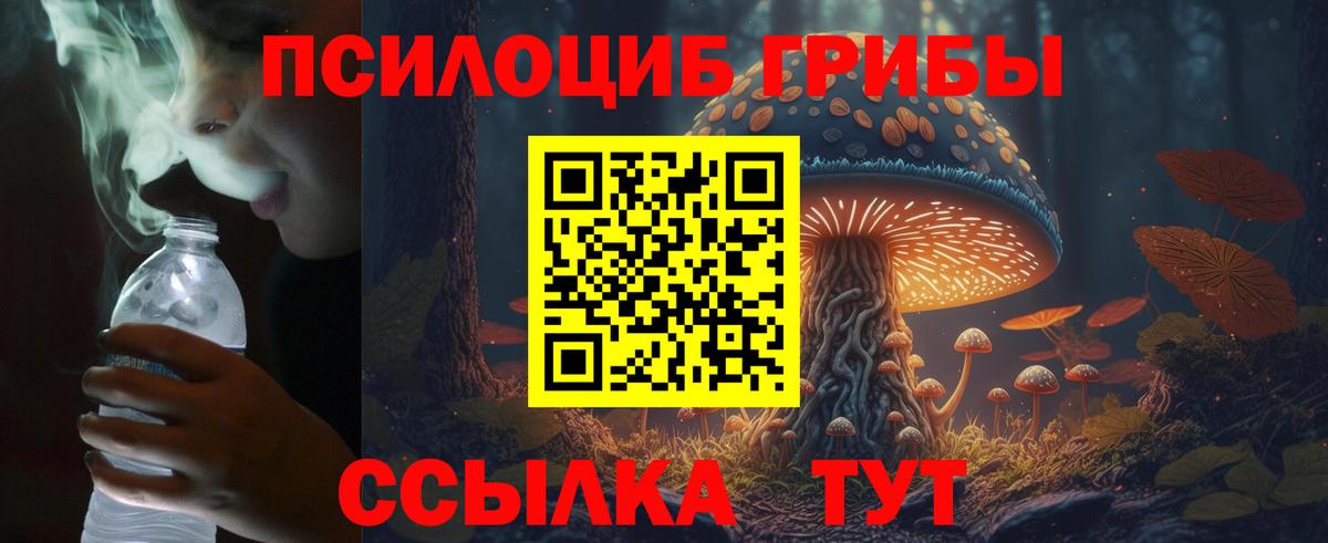 Псилоцибиновые грибы прущие грибы Арсеньев
